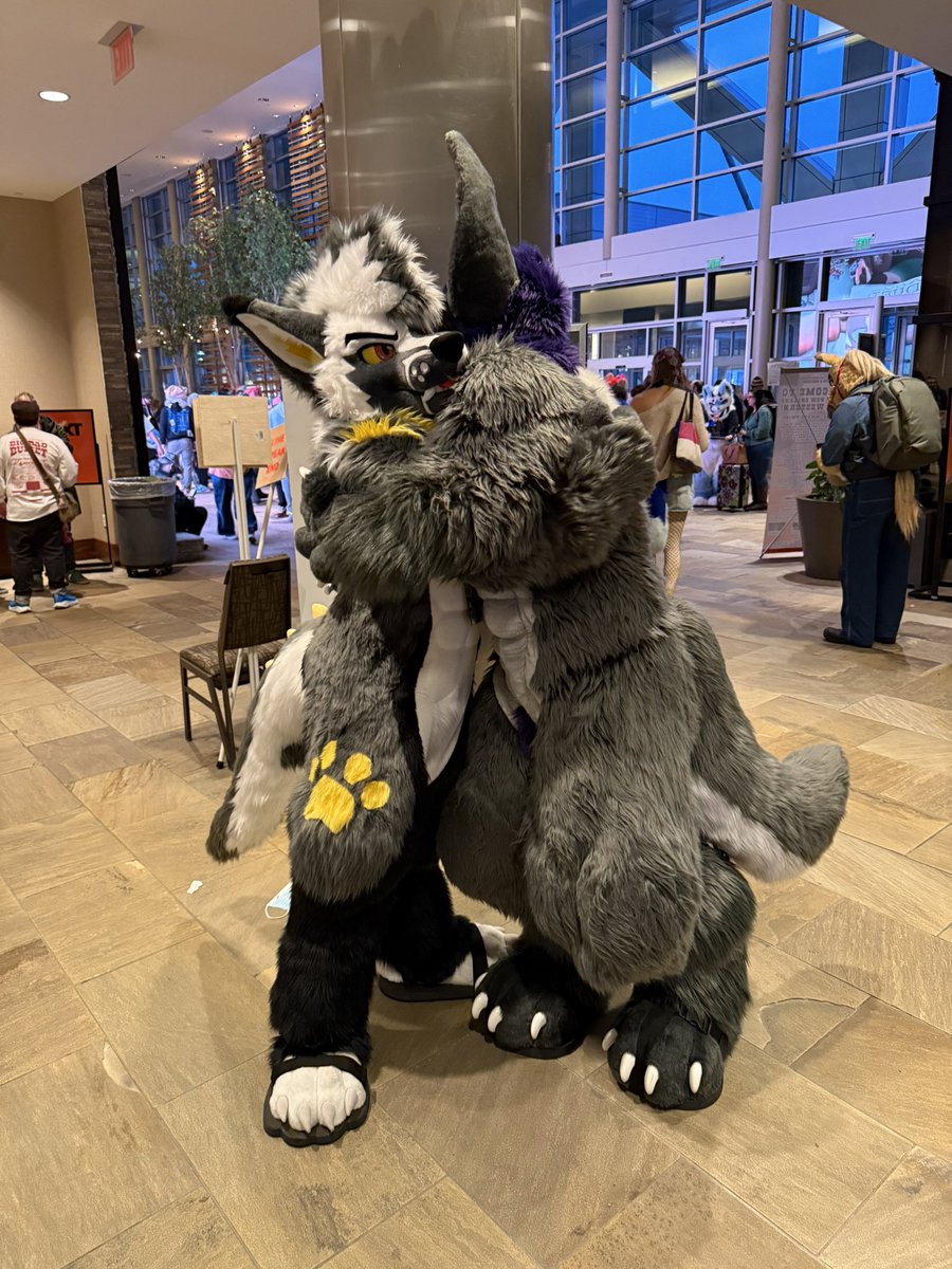 Hugz N. Snugz 🔜 FWA 2026 tweet media