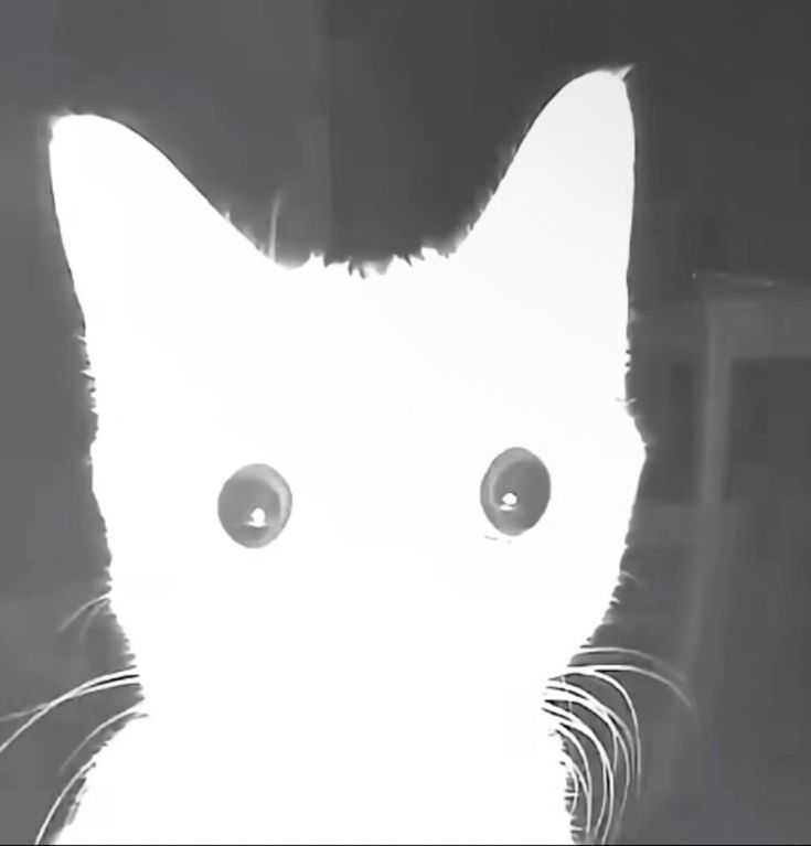 lovethve's tweet image. 