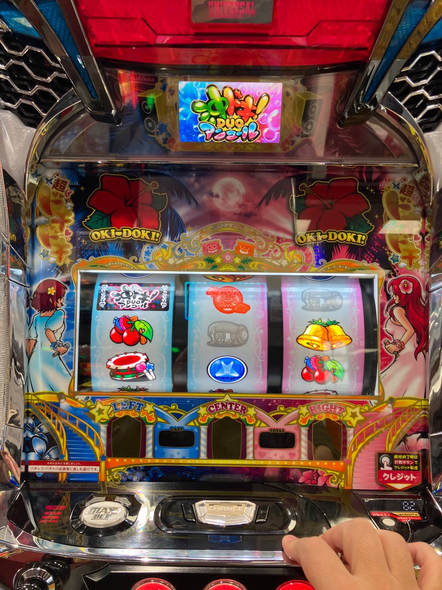 でじかめ🐢毎日ブログ更新中！ (@dejikame_blog) / Posts and Replies / X