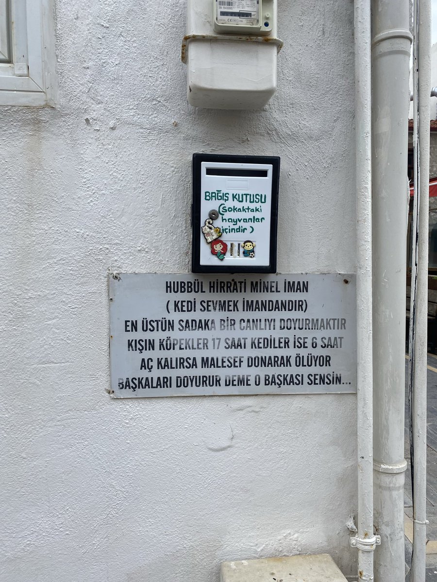 eksiketek's tweet photo. İzmir vol 3🤍 https://t.co/sc4G9KNHwR