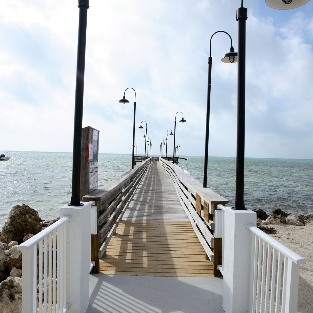 BlueMarlinMotel tweet media