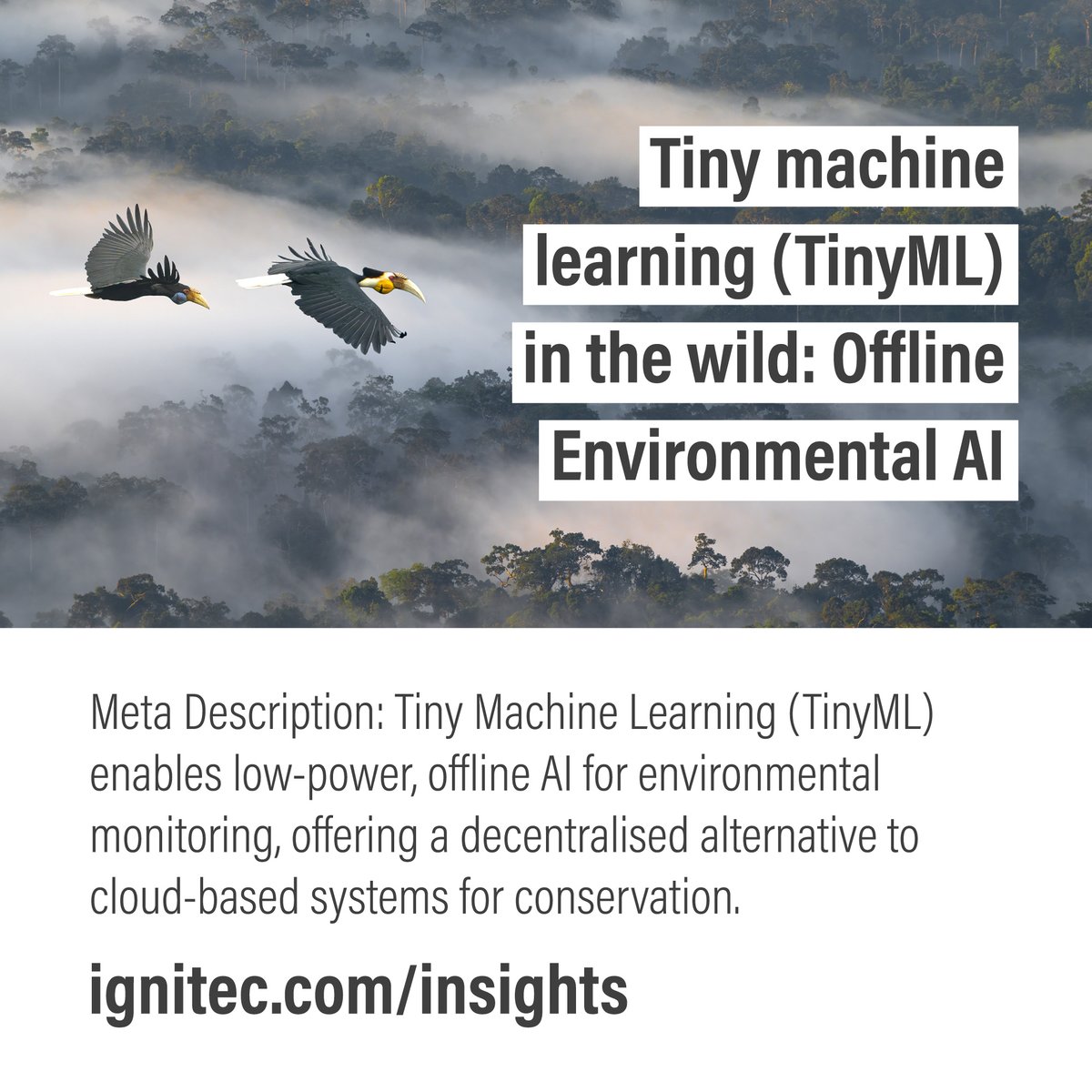 IgnitecStudio's tweet photo. 𝗧𝗶𝗻𝘆 𝗠𝗮𝗰𝗵𝗶𝗻𝗲 𝗟𝗲𝗮𝗿𝗻𝗶𝗻𝗴 (𝗧𝗶𝗻𝘆𝗠𝗟) 𝗲𝗻𝗮𝗯𝗹𝗲𝘀 𝗹𝗼𝘄-𝗽𝗼𝘄𝗲𝗿, 𝗼𝗳𝗳𝗹𝗶𝗻𝗲 𝗔𝗜 𝗳𝗼𝗿 𝗲𝗻𝘃𝗶𝗿𝗼𝗻𝗺𝗲𝗻𝘁𝗮𝗹 𝗺𝗼𝗻𝗶𝘁𝗼𝗿𝗶𝗻𝗴

https://t.co/l1iNg5wtp6

#TinyML #MachineLearning #ConservationTech #Sensors #SystemsThinking #ProductDesign https://t.co/9gfOKNW46V