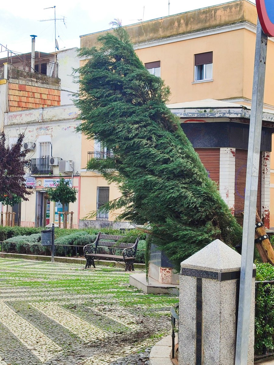 Como un Ayuntamiento de una ciudad con 150k habitantes y con un presupuesto de 150 millones puede tener así durante meses una de las plazas históricas del casco antiguo reformada hace pocos años???
No hablemos de la calzadiña
A nadie se le cae la cara de vergüenza??? #Badajoz