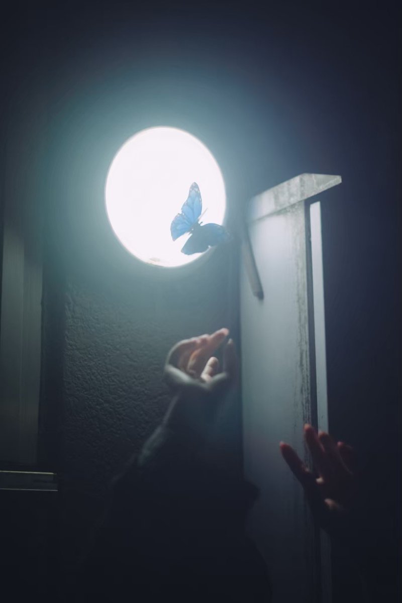 東菜月. (@dekiwaku) on Twitter photo 