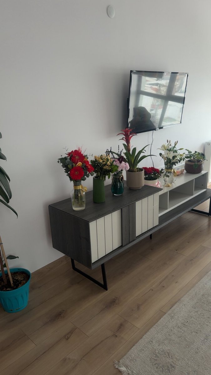 Arkadaşlar çiçekler satılıktır Bursa içi iki saatte teslim edilir flşgşhşyşgşşhihibibibö