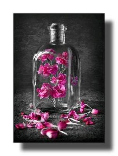 #PensarNaoDoi 

"As longínquas esperanças que começavam a despontar em seu coração floresceram subitamente, realizaram-se e formaram um feixe de flores que ela viu cortadas e jogadas ao chão...!"

Honoré Balzac

Quinta de perfumes pelo caminho, AMIGOS!