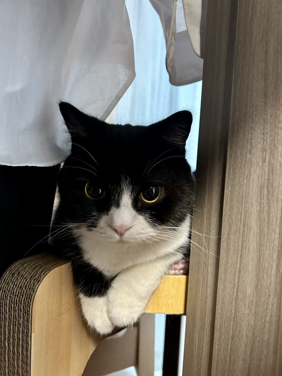 たろう (@taro20216) / Posts / X