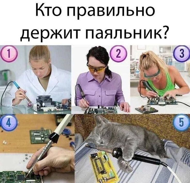 Дед из шишки tweet media