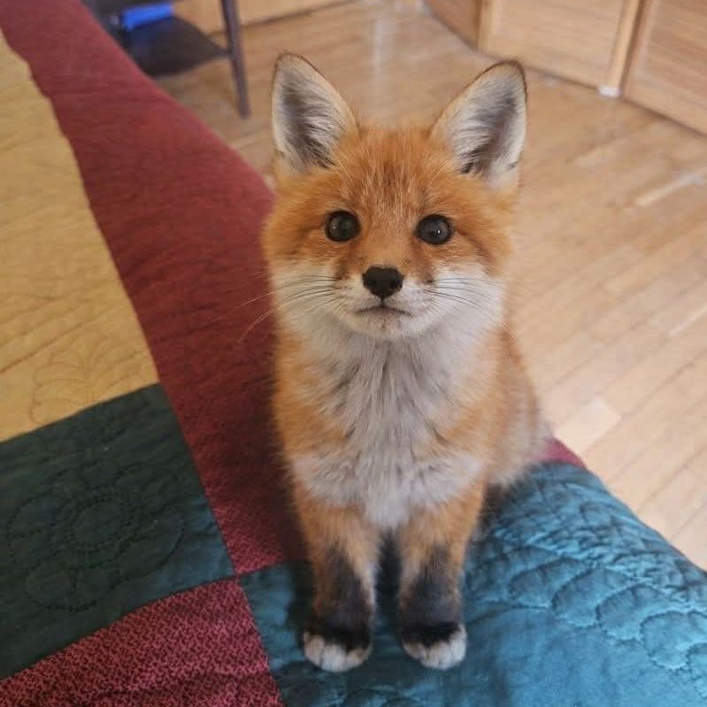 gummy♡ tweet media