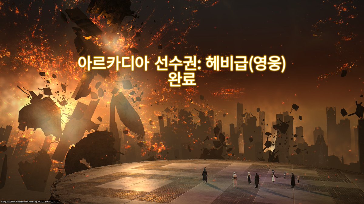 도리 tweet media