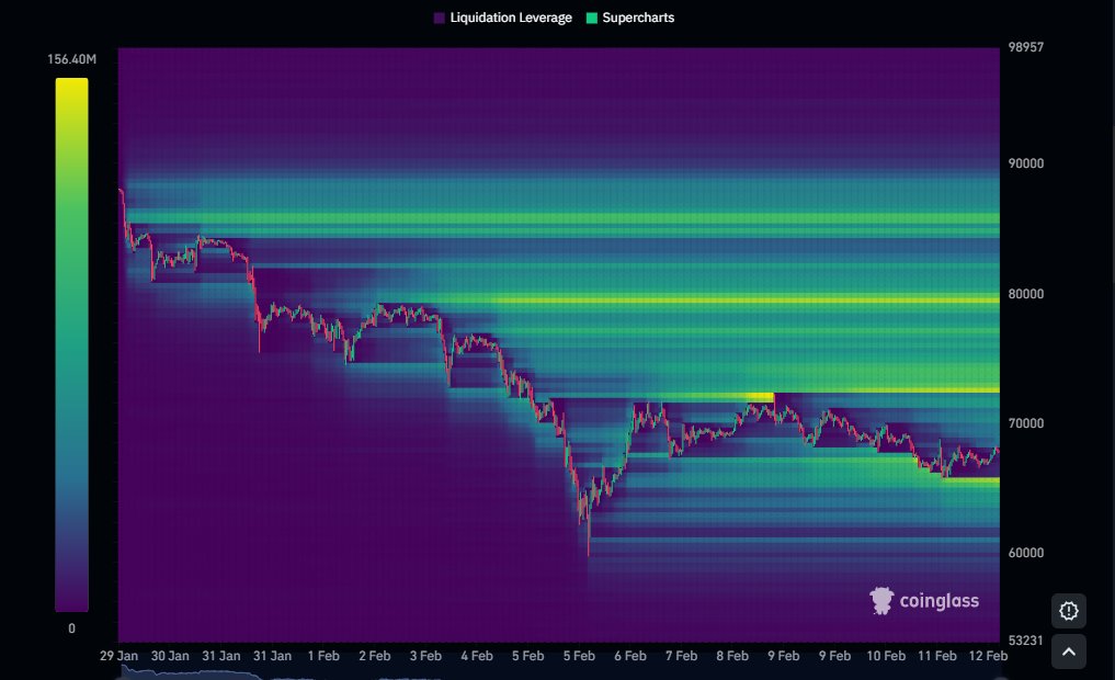 ₿rave. tweet media