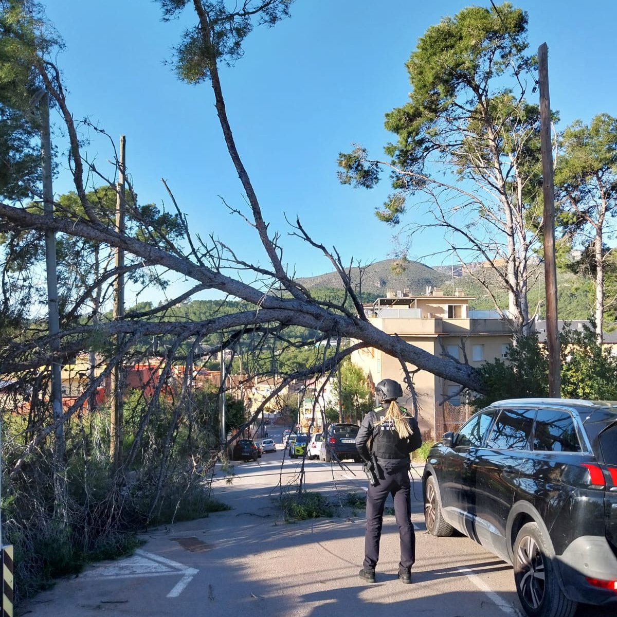 Ajuntament de Castelldefels tweet media