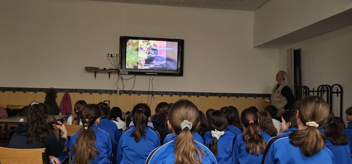 Pedro Pozas Terrados tweet media