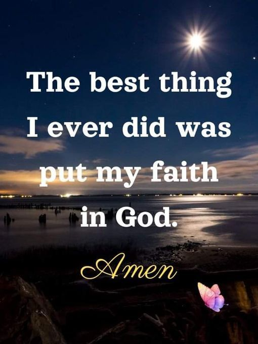 Nerplex (@nerplex2) on Twitter photo 