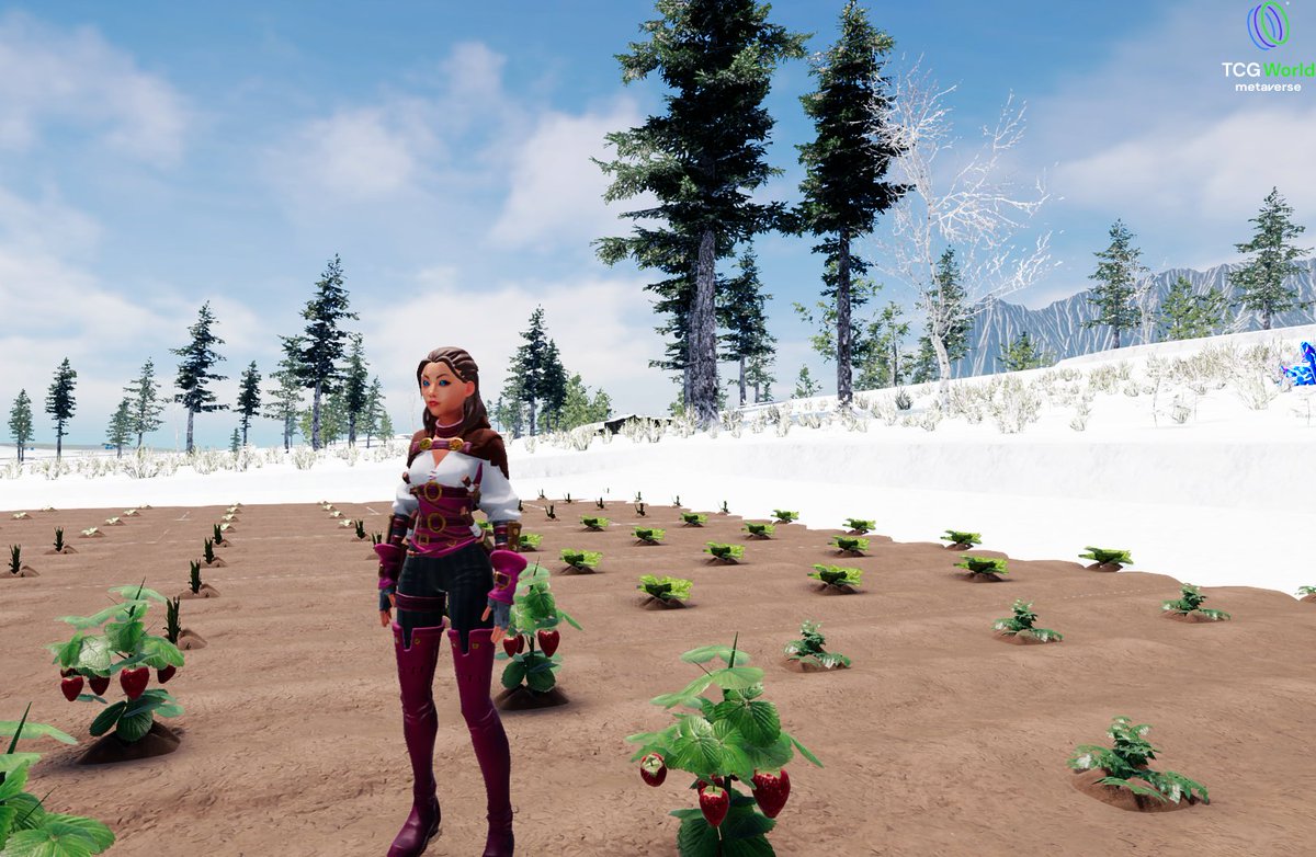 Looks like we have some delicious strawberries 🍓 ready to harvest