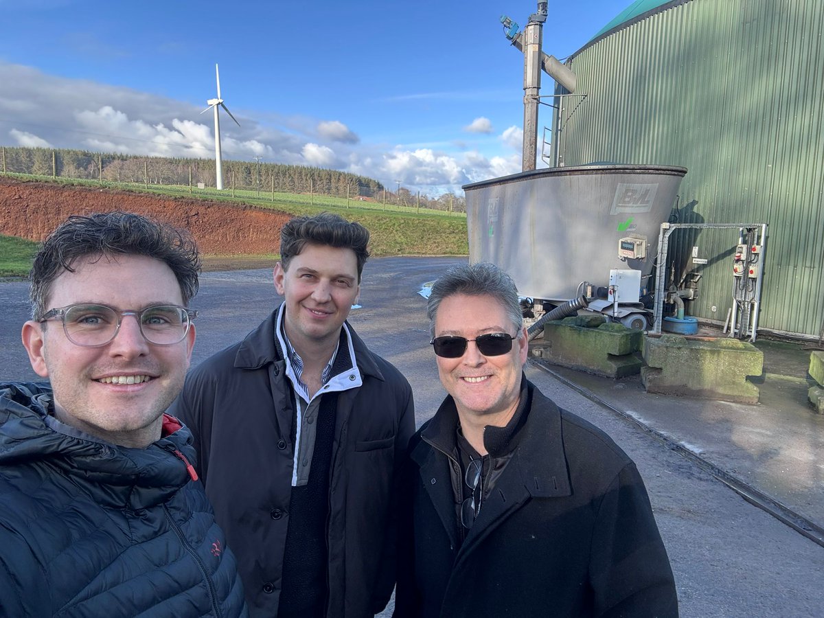 RenewaBlox tweet media