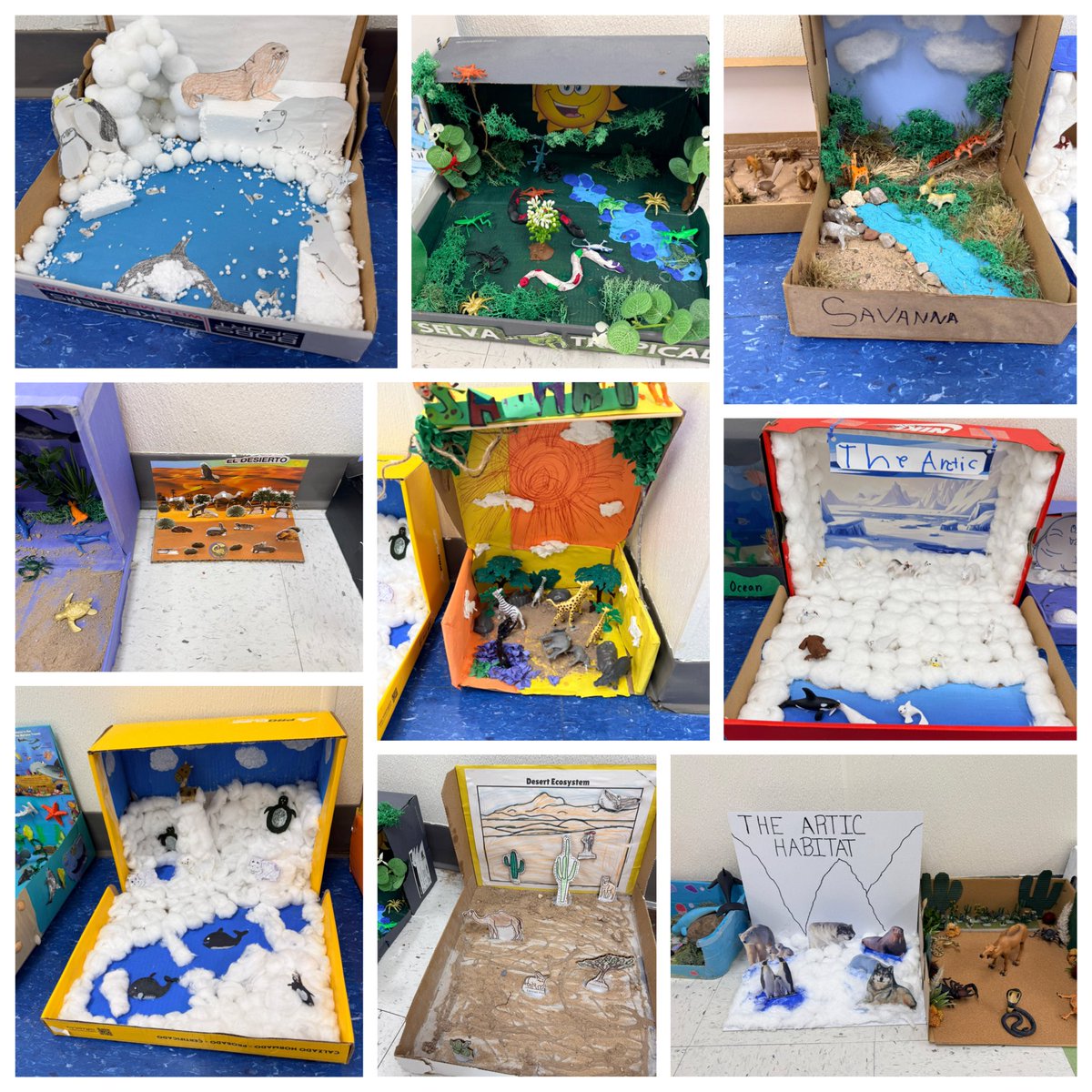 MLopez_TISD's tweet photo. 🐾Habitat learning in 1st grade.  We love science.#TISDProud https://t.co/Ape3pqBy4B