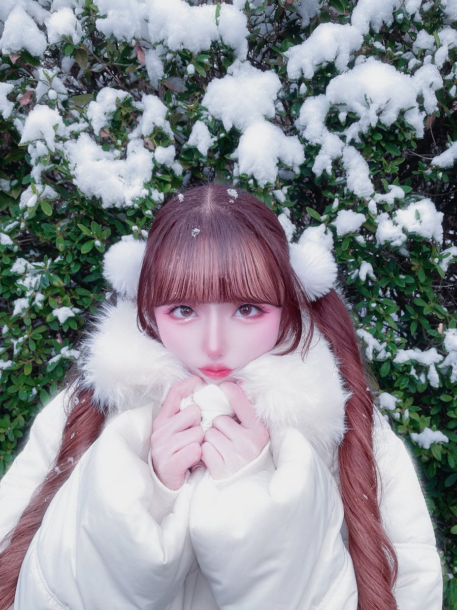 のんちゃん (@Alice_Non_neko) / Posts / X