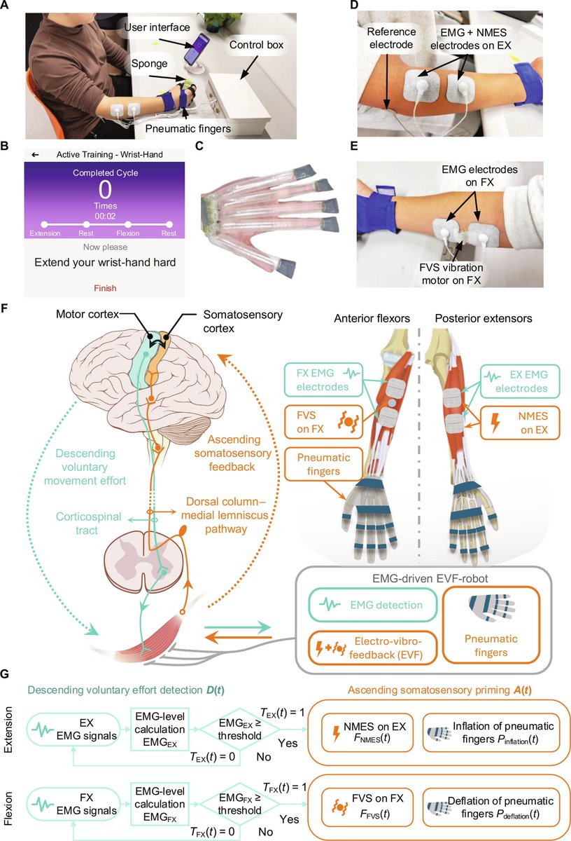 Cyborg and Bionic Systems Journal tweet media