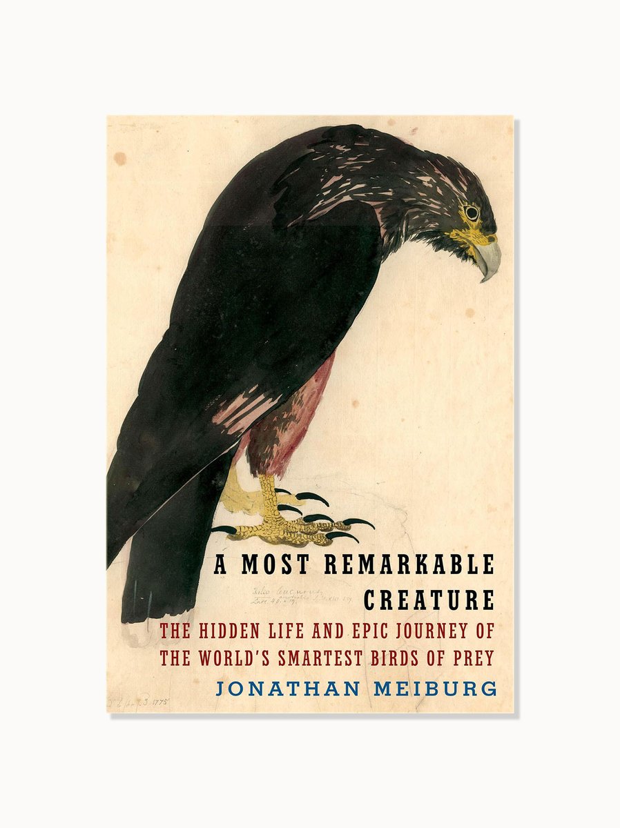 A Most Remarkable Creature 

Design: Chip Kidd