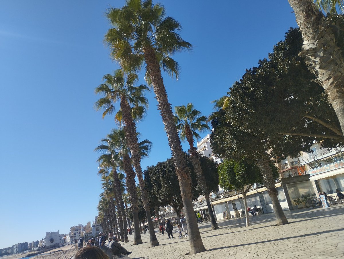 CMRinterina's tweet photo. Blanes, Costa Brava, coles e institutos cerrados, padres que no pueden ir a trabajar,toda Cataluña paralizada. 20 grados, ni una gota de aire. Pero como siempre en este país de 💩, no pasará nada, ni nadie tiene responsabilidad de nada. https://t.co/AzbGWqB86Y