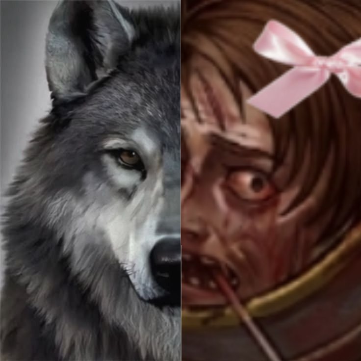 Acervo Argano #ARGOAT tweet media