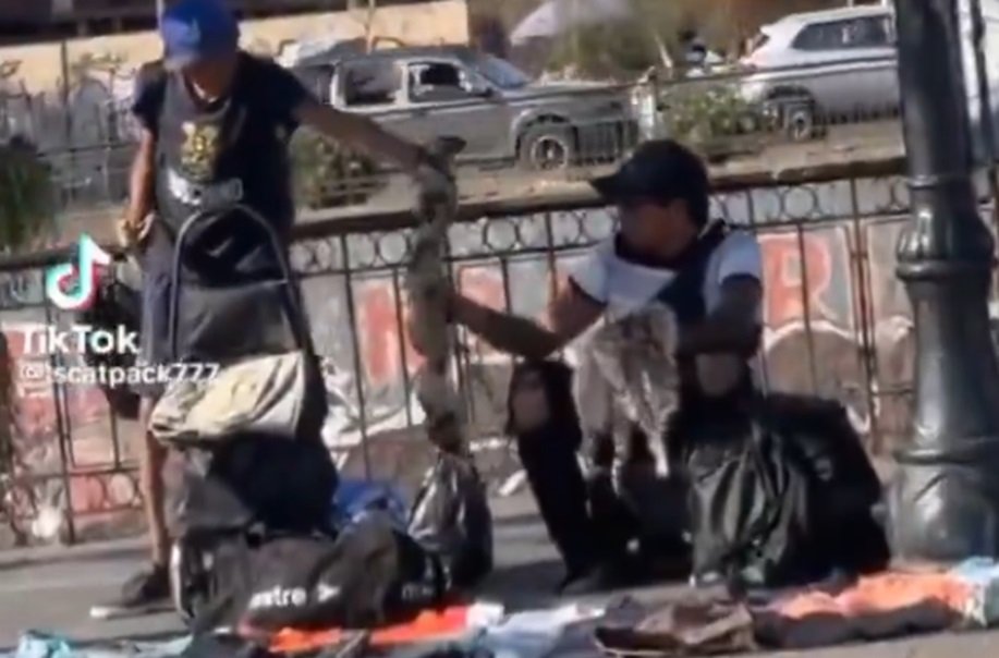 Pillan a caribeños vendiendo PIELES DE GATO en Cal y Canto gamba.cl/2026/02/caribe…