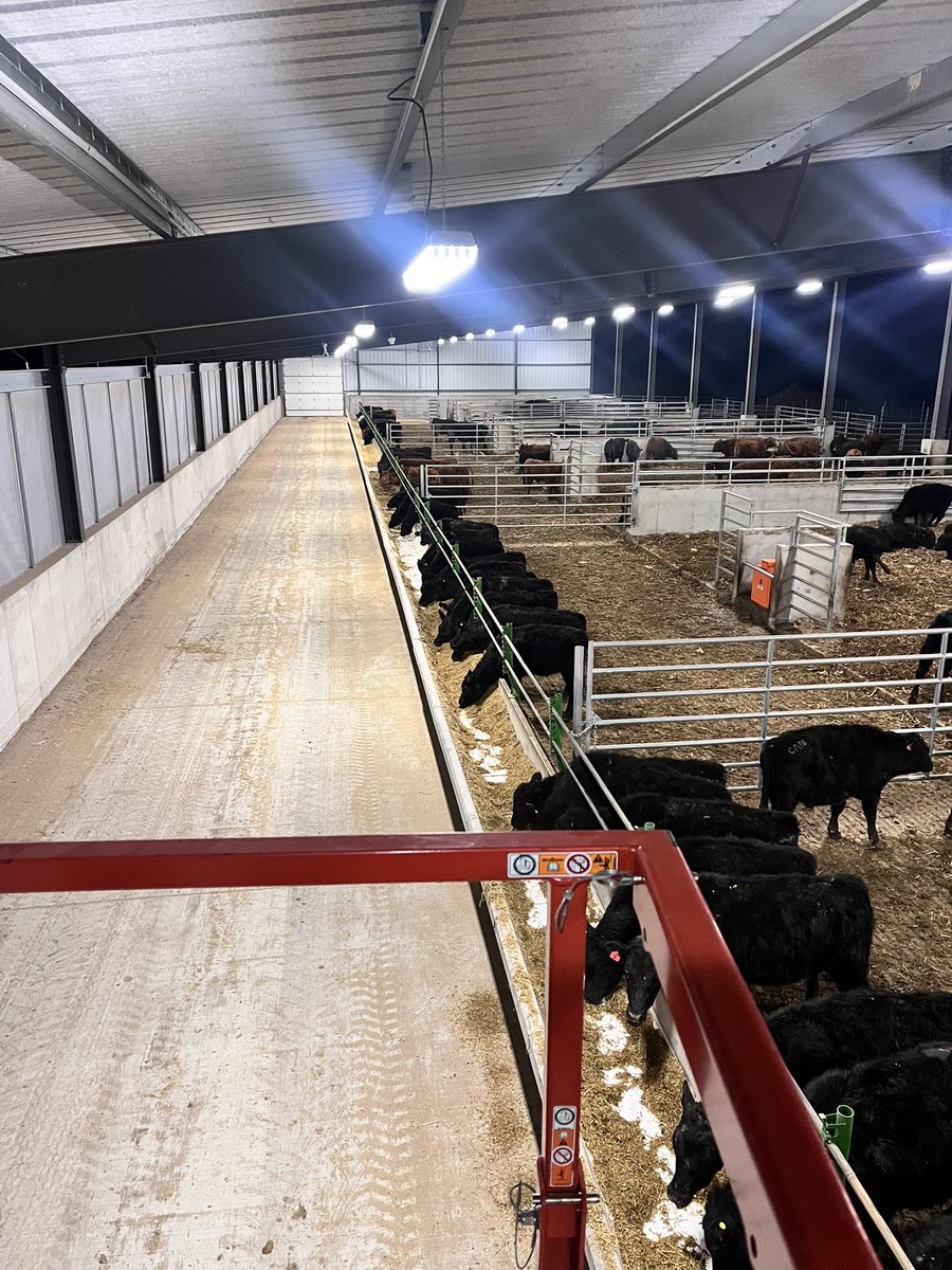 Joe Thomas tweet media