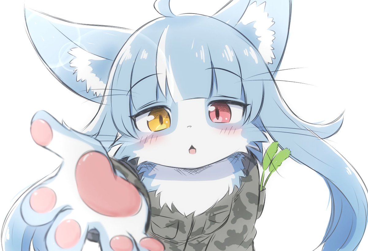 おまねこ