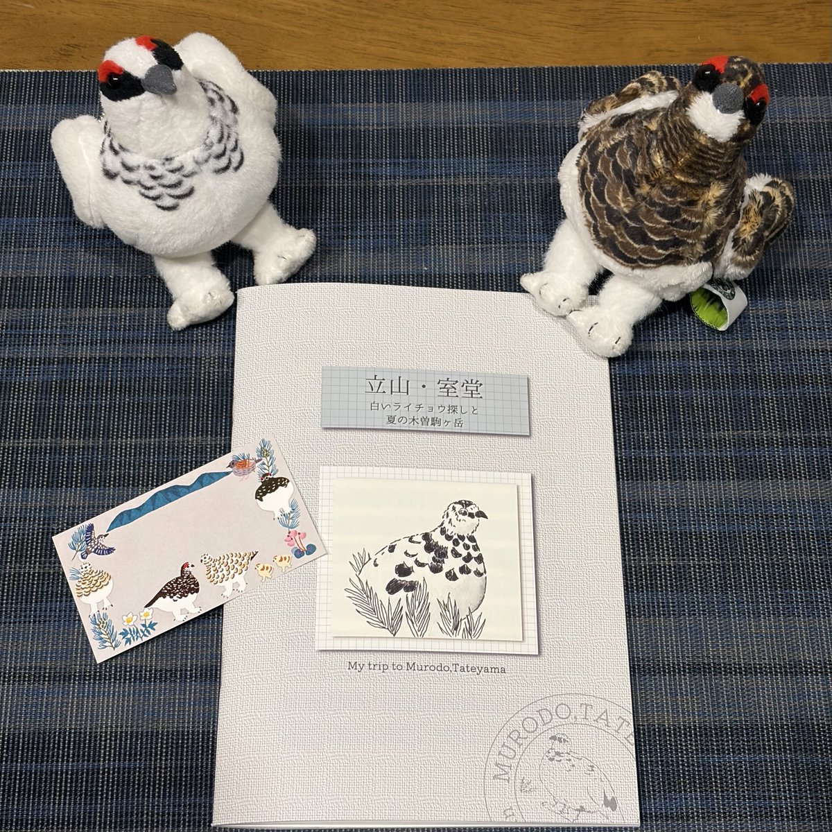 わあい tweet media