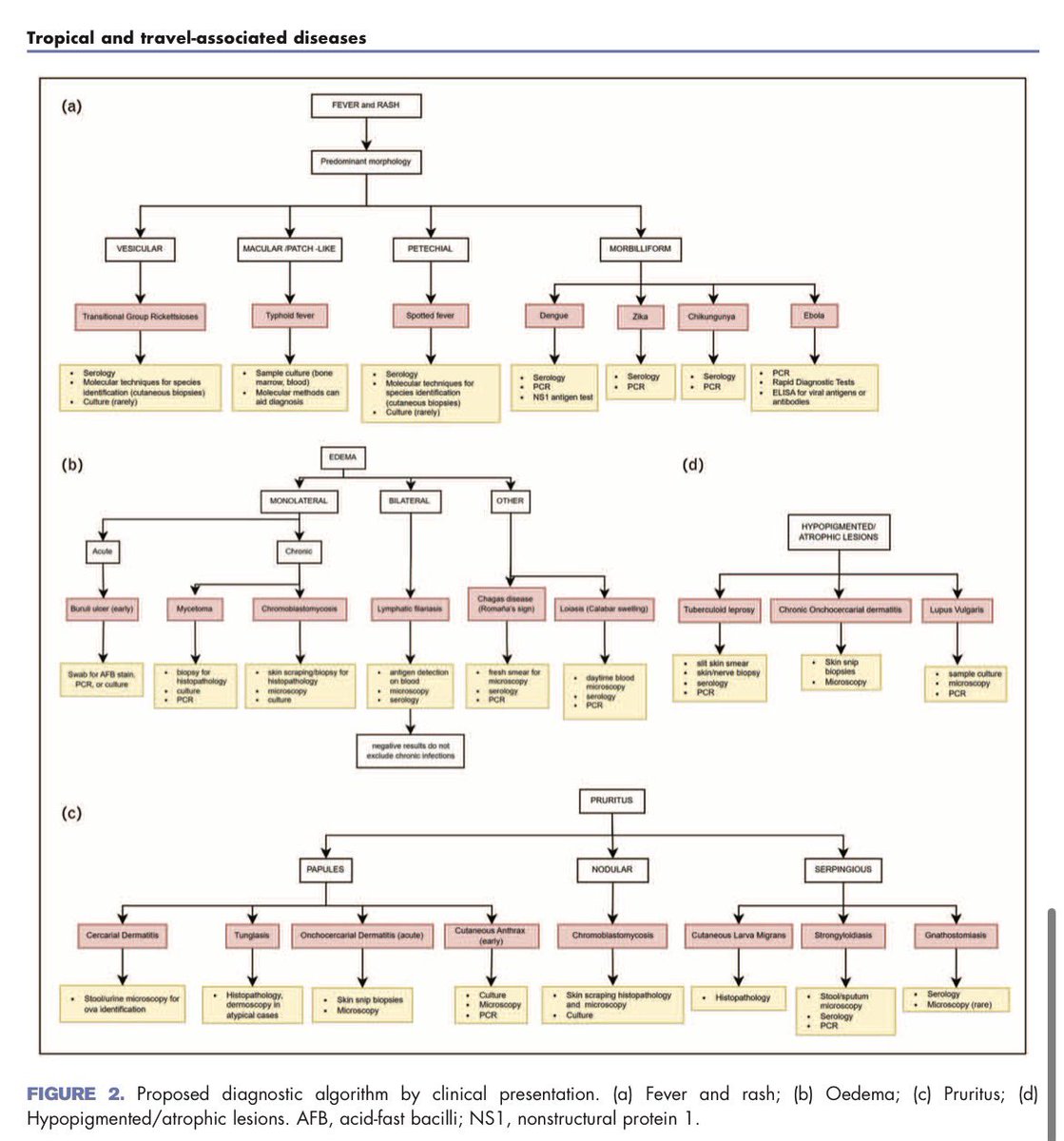 AliSMV7's tweet photo. Tropical infectious diseases and skin
manifestations: a diagnostic framework

https://t.co/bHxKEoydVt https://t.co/OP0q0GnBCw