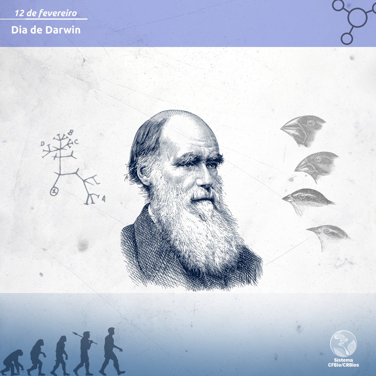 12/02 | Dia de Darwin 🧬🌿
Autor da teoria da evolução por seleção natural, Darwin transformou as Ciências Biológicas e fundamentou áreas como Genética e Ecologia 🔬🌎

Celebrar a data é valorizar a ciência.

#DiaDeDarwin #Evolução #CFBio