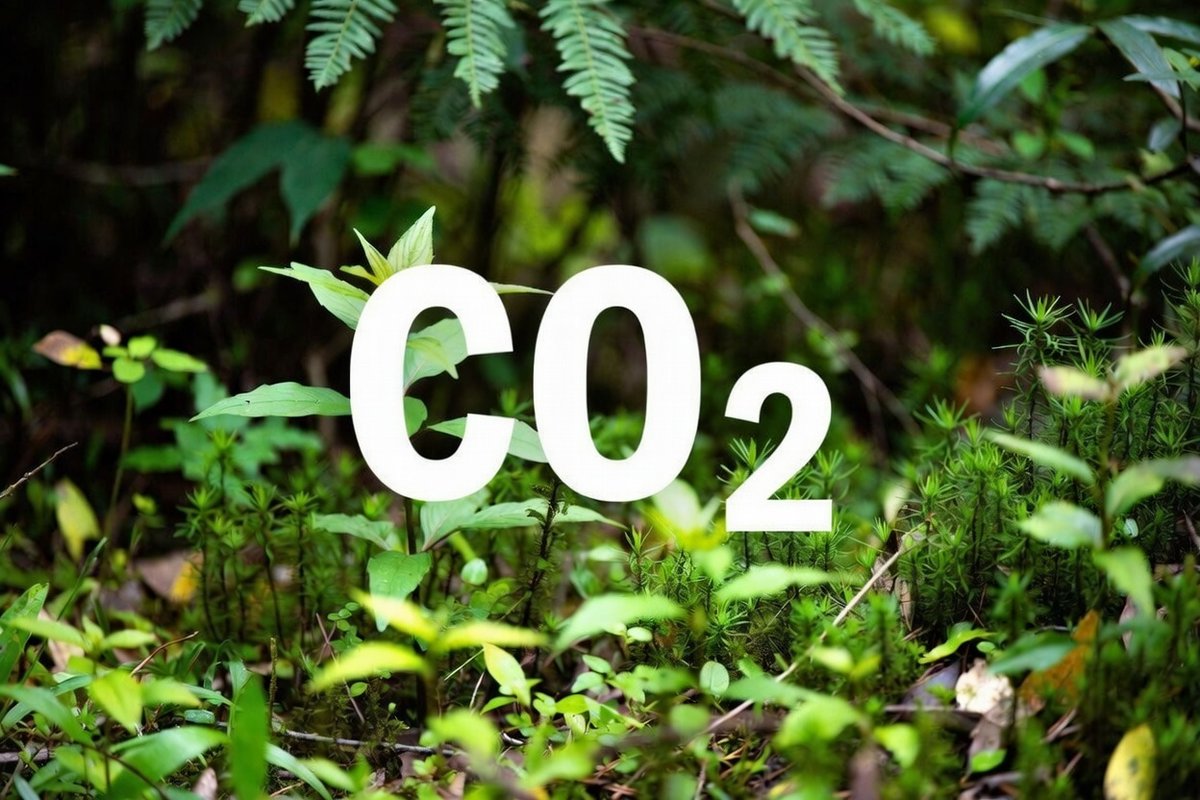 TShepstone's tweet image. Trump's EPA About to Kill the Endangerment Finding, One of the Most Political Acts Ever Taken by A Federal Agency!

energysecurityfreedom.substack.com/p/trumps-epa-a…

#ChrisWright #Endangerment Finding #EnvironmentalProtectionAgency #EPA #Trump #Biden #Obama #CO2