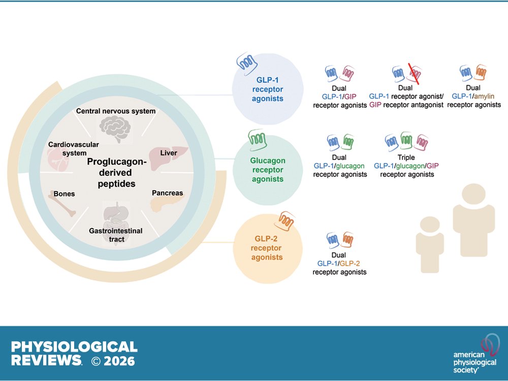 Physiological Reviews tweet media