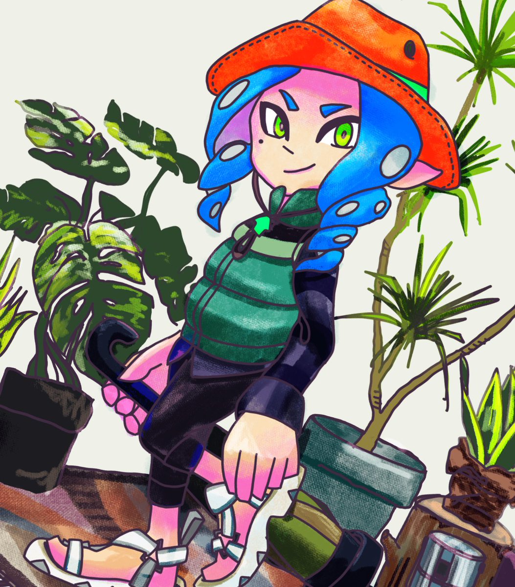 いかスミ建築設計事務所 (@teva_moto09) on Twitter photo 