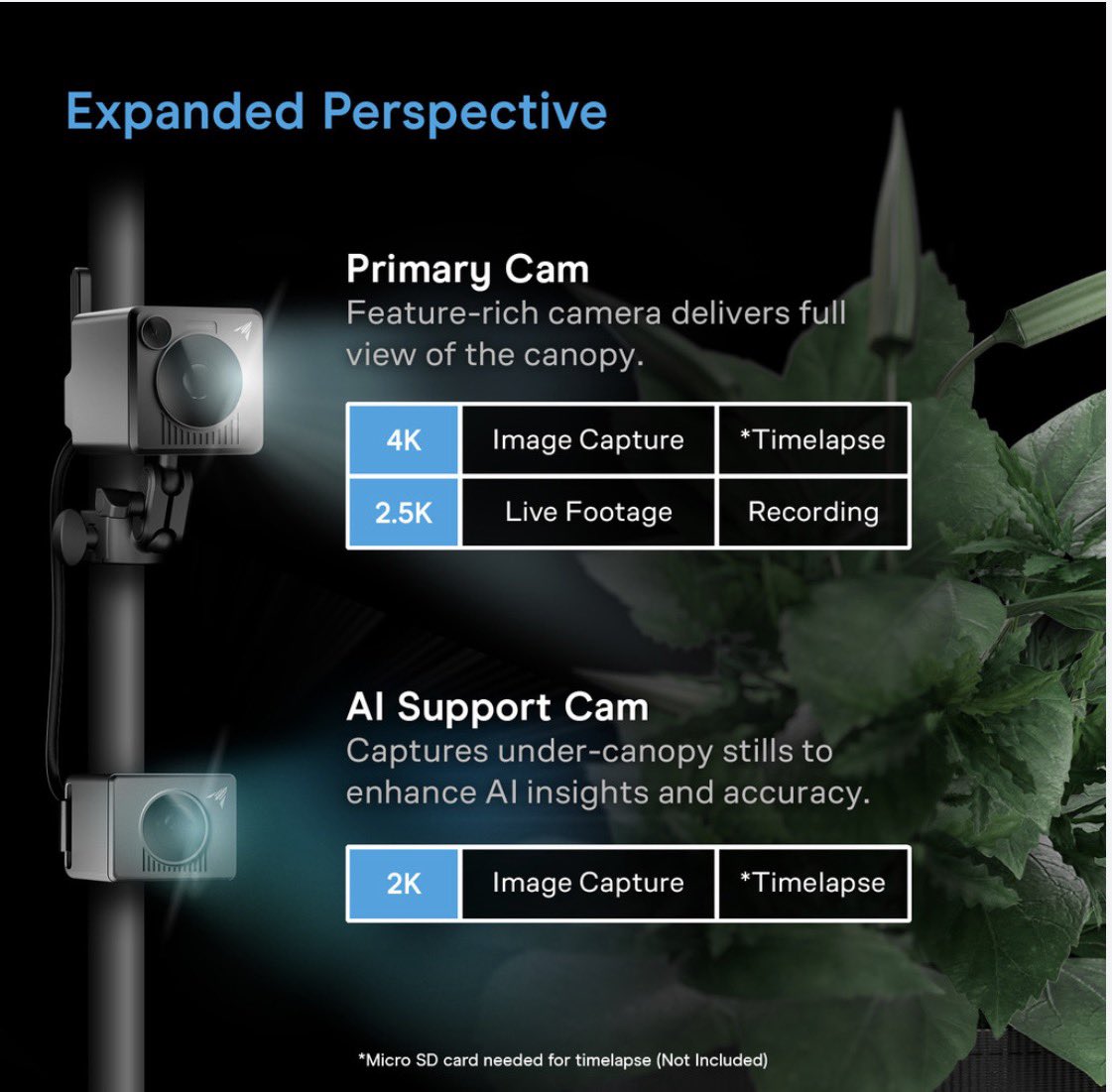 The Green Reaper tweet media