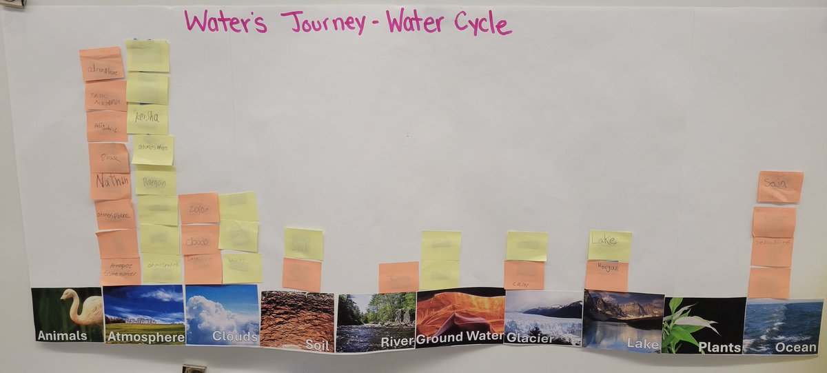 S Watson tweet media