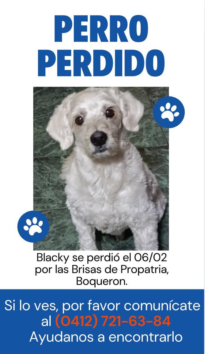 Se busca a Blacky en Caracas, Brisas de Propatria