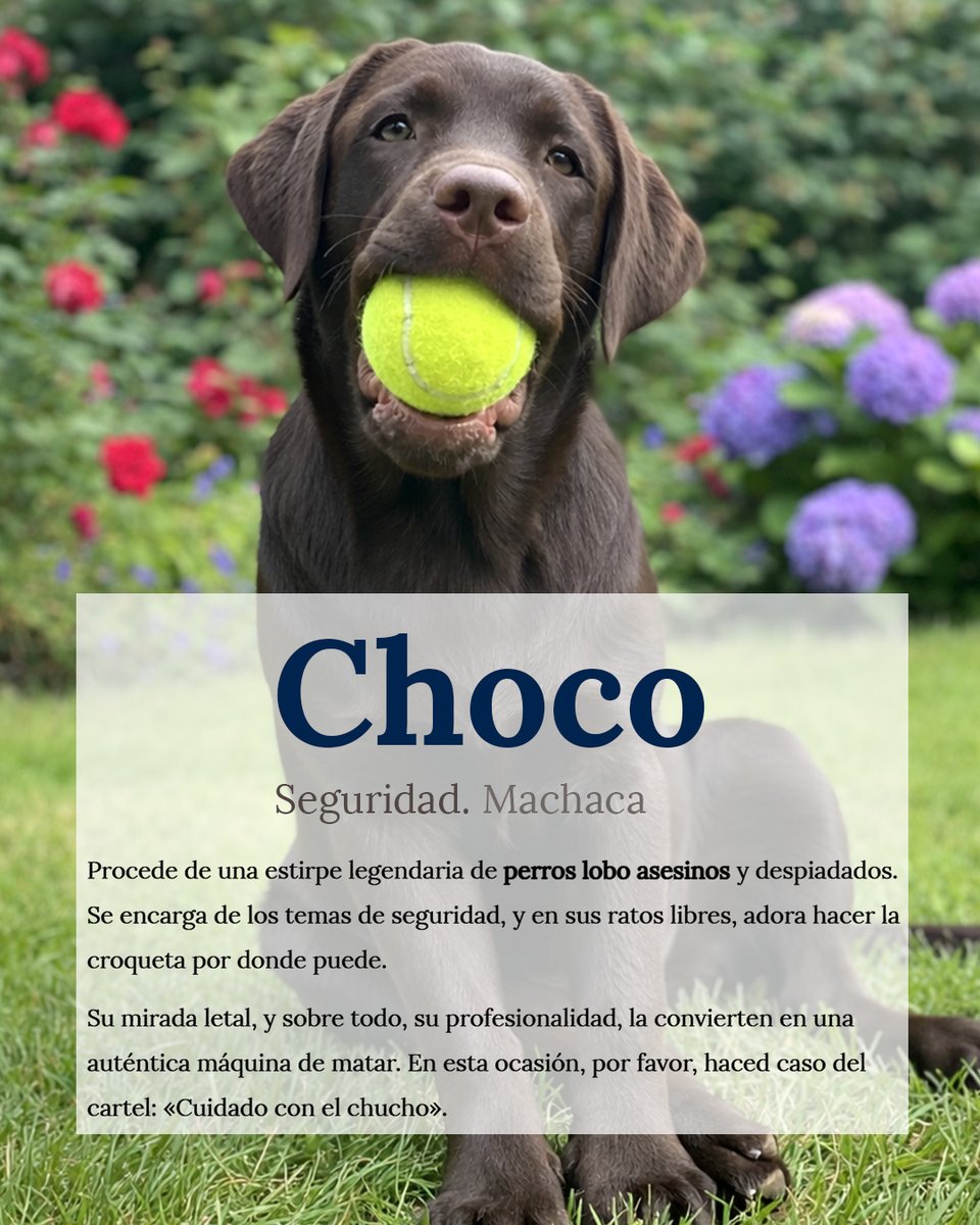 .¡Conoce al #equipazo de #Comaporter!  🩷 👇

Tu #marca es la #inversión más importante que puedes realizar en tu #negocio. Confía en #comaporter. Cuidamos tu imagen. Te hacemos visibles al mundo con una imagen de marca adecuada.  

Disponibles 24/7 días ☛ info@comaporter.com