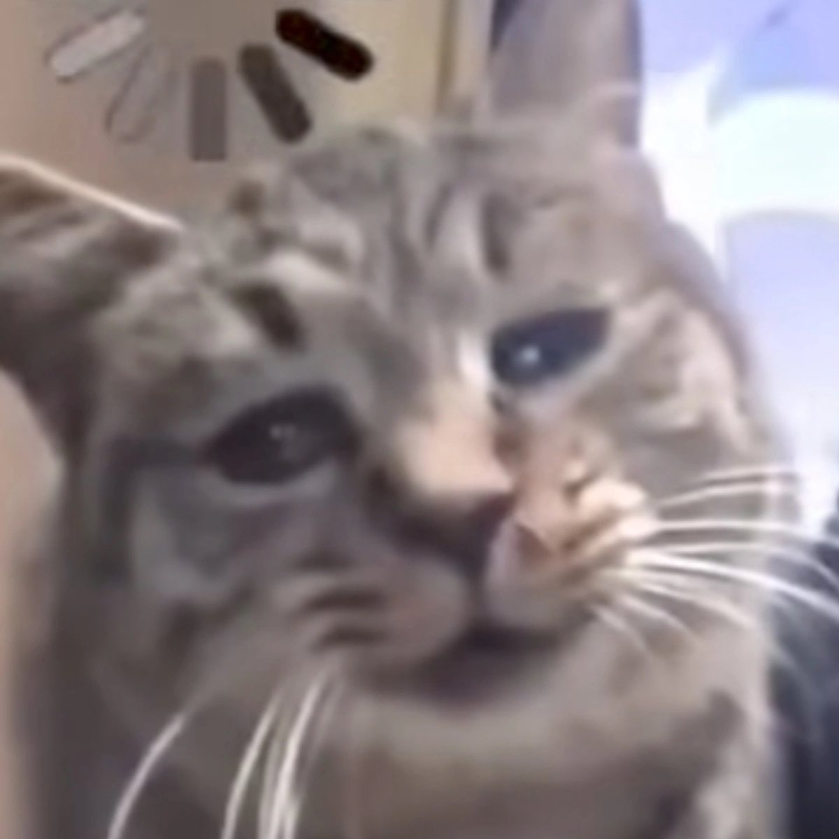 silly alli tweet media