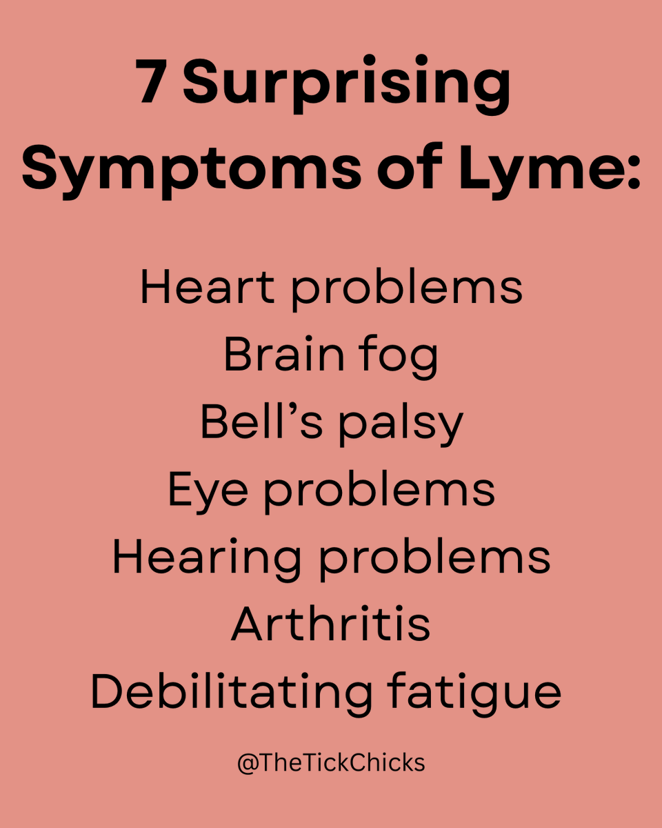 The Tick Chicks tweet media