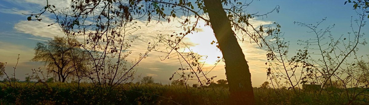 slow life and sunsets
