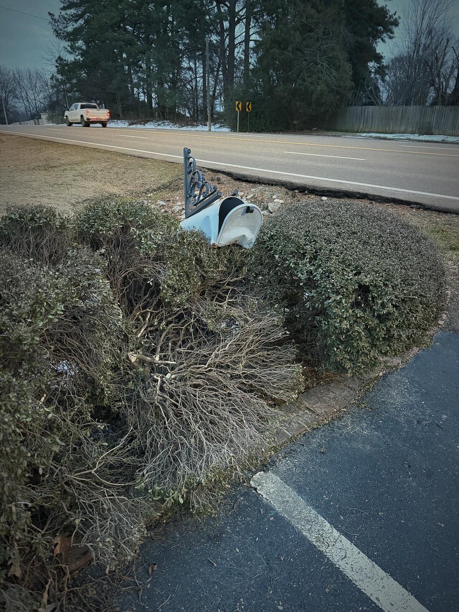 〽️ark Johnson tweet media