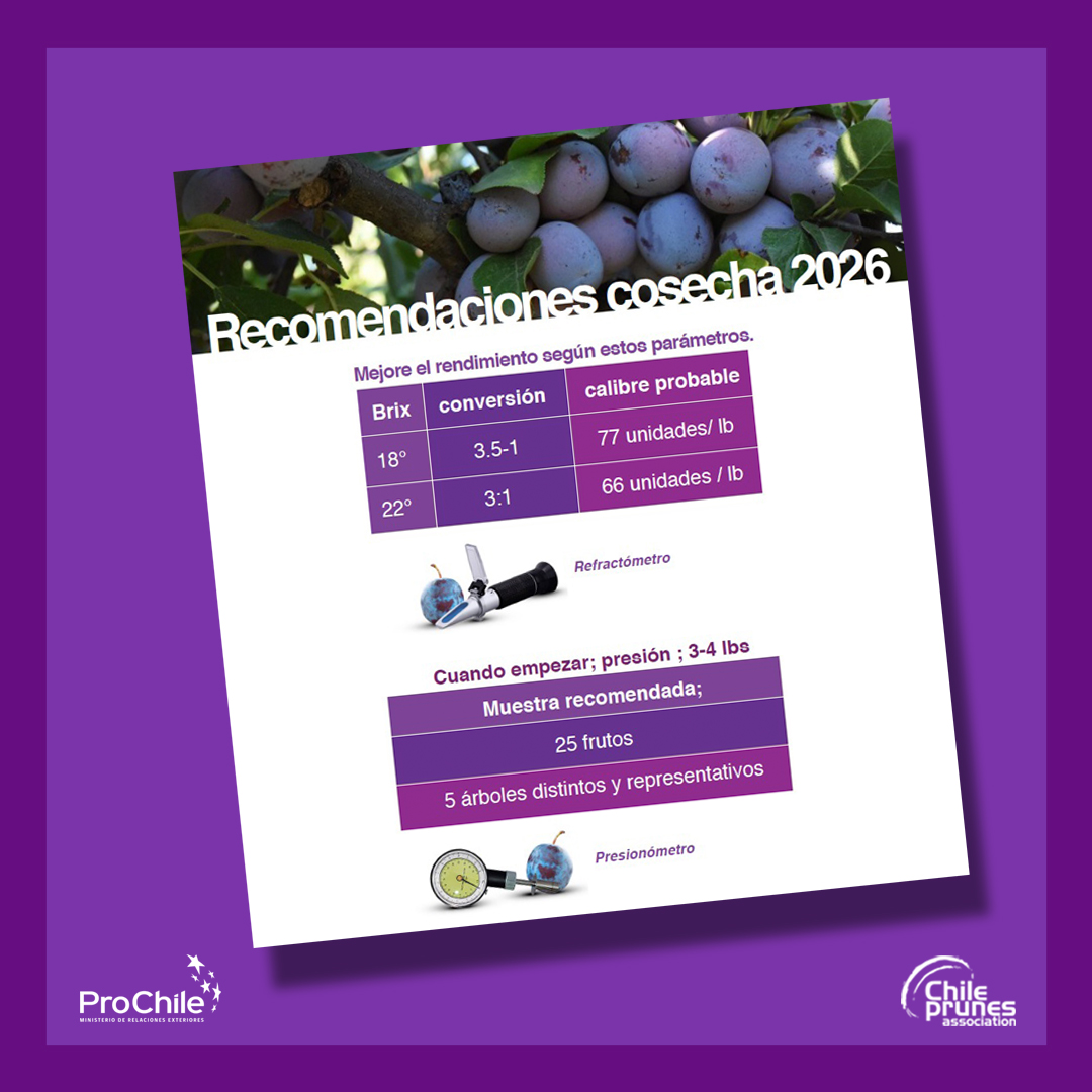 Para ver la publicación entra a este link: chileprunes.cl/2026/02/05/rec…
#prunes #chileprunes