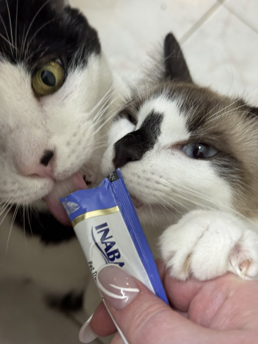 Amandaaa ☆ tweet media