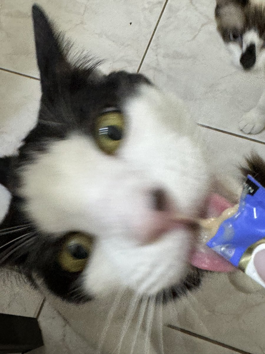 Amandaaa ☆ tweet media