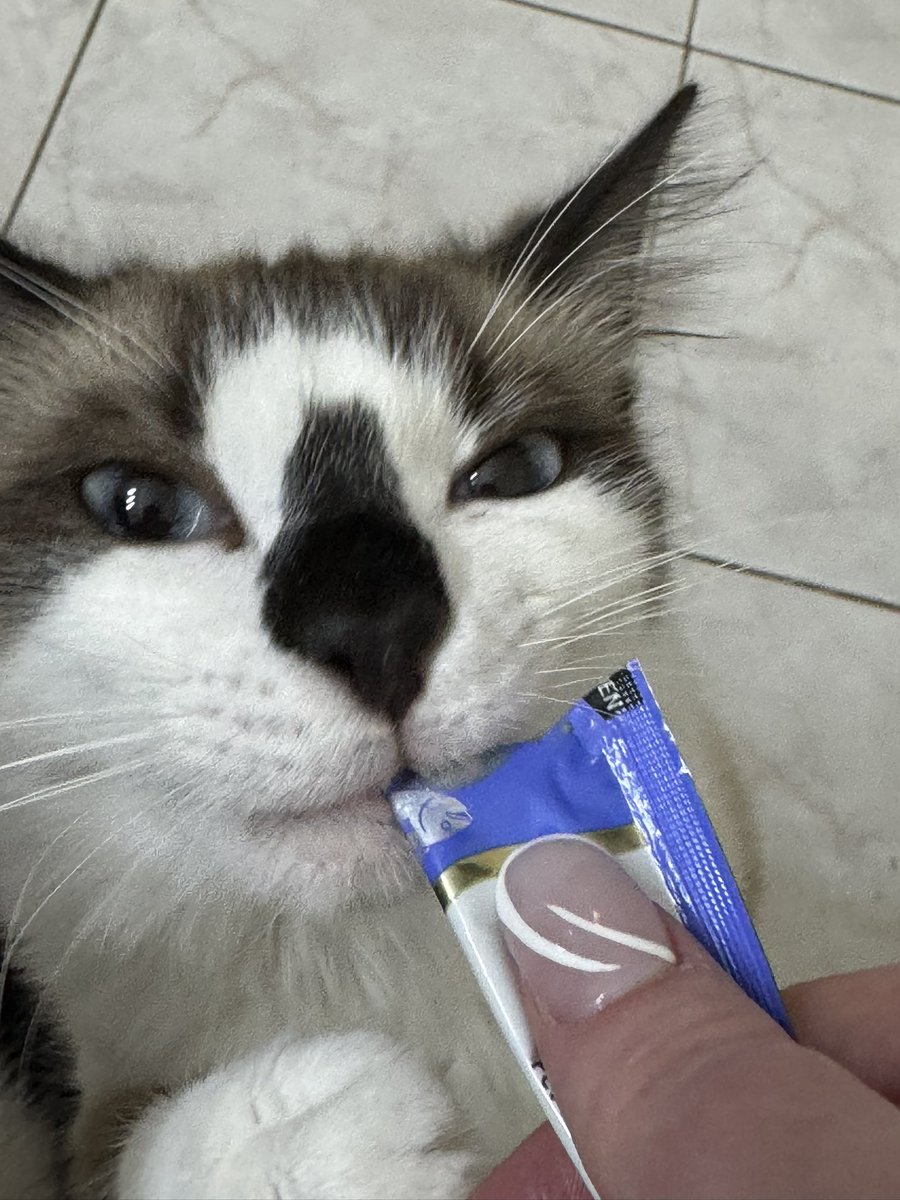 Amandaaa ☆ tweet media