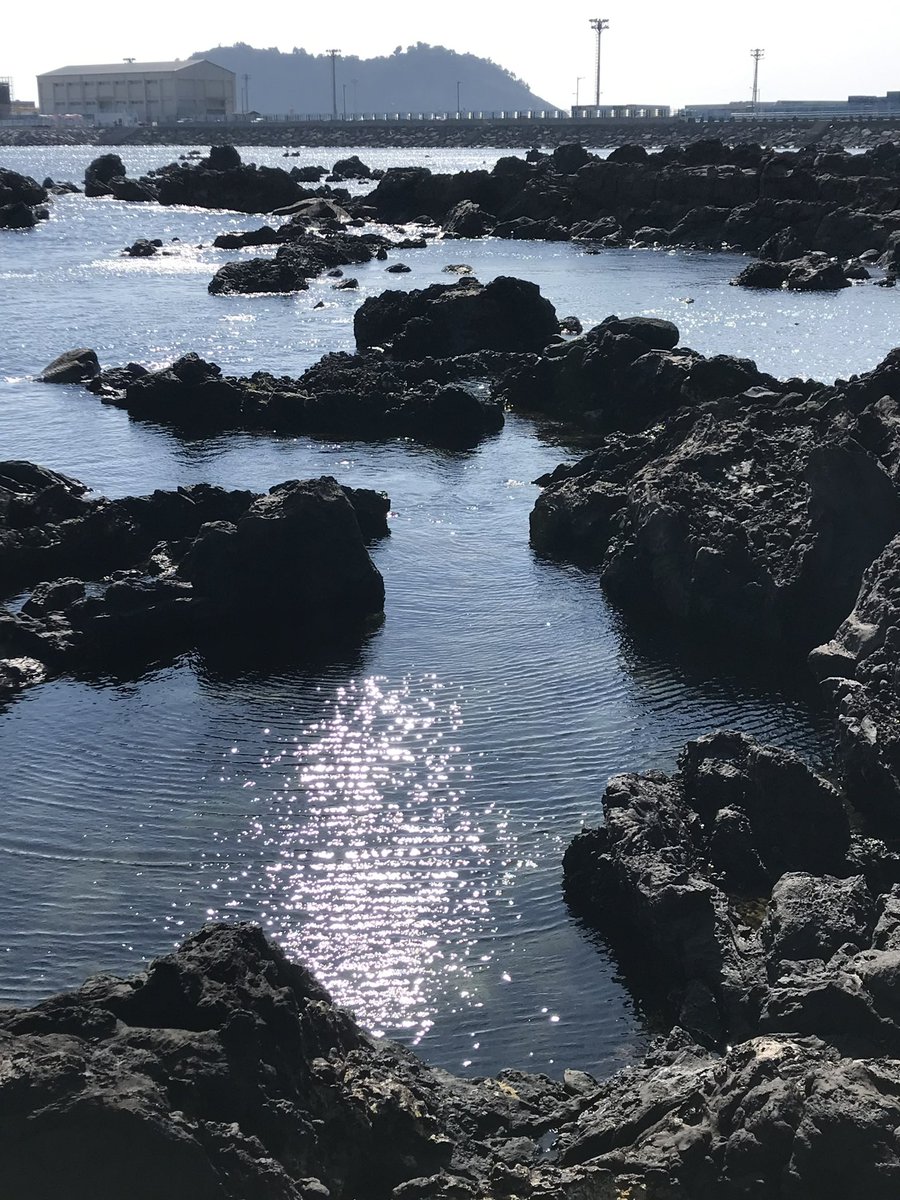 바다 보고 가세요 🌊