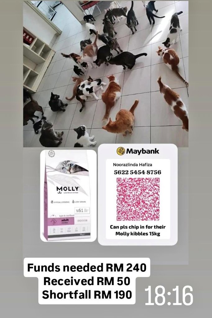 LindaElleHafiza's tweet photo. Sy mtk tlg warga IG tadi.
Tp tak ramai blh bantu 😔
Korg warga X blh tlg ke.
Anak2 rescue sy 48 ekor.
1 bag of kibbles 15kg cuma bertahan 10 hari.
Sy byk spent duit sy utk anak2 jalanan jugak.
Sabtu last week i paid RM 200 to pet taxi sbb dua hari berturut2 pet taxi tlg cari kucing yg sy nak send for TNR. And pet taxi sent to vet.
Sy keje jadi susah sgt waktu siang on weekdays nak pegi amik kucing.
Mmg kena guna pet taxi service.
Smlm sy spent RM 84 beli 2 bijik nexgard utk nak bg kat 2 ekor stray dogs sbb sy kesian sgt tgk kulit dorg.
Sy tak punya byk duit.
Duit yg ada kena bagi2 antara anak2 rescue kat rumah dgn anak2 jalanan.
Now kibbles utk anak2 kat rumah dah habis.
Sy dah xde extra money dah.
Blh ke tlg topup.
Now ada RM 50 je.

Bantu repost utk dpt kan 1 bag of Molly kibbles 15kg for my 48 cats at home. 

@AimanAirin2 @airienaszli @crazycatmakcik @fatyhax @FiskaYenitaFK_ @hannnybunnyyy @hazhmh @ianyumeow @itsybitsymin @ketengahketepi @ManjitSinghG5 @meeayusri @ninashakirax @samantha_cavill @smittenby_V @niinaabiha @yemmeow @tattyhassan @murdockfen
