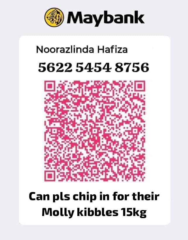 LindaElleHafiza's tweet photo. Sy mtk tlg warga IG tadi.
Tp tak ramai blh bantu 😔
Korg warga X blh tlg ke.
Anak2 rescue sy 48 ekor.
1 bag of kibbles 15kg cuma bertahan 10 hari.
Sy byk spent duit sy utk anak2 jalanan jugak.
Sabtu last week i paid RM 200 to pet taxi sbb dua hari berturut2 pet taxi tlg cari kucing yg sy nak send for TNR. And pet taxi sent to vet.
Sy keje jadi susah sgt waktu siang on weekdays nak pegi amik kucing.
Mmg kena guna pet taxi service.
Smlm sy spent RM 84 beli 2 bijik nexgard utk nak bg kat 2 ekor stray dogs sbb sy kesian sgt tgk kulit dorg.
Sy tak punya byk duit.
Duit yg ada kena bagi2 antara anak2 rescue kat rumah dgn anak2 jalanan.
Now kibbles utk anak2 kat rumah dah habis.
Sy dah xde extra money dah.
Blh ke tlg topup.
Now ada RM 50 je.

Bantu repost utk dpt kan 1 bag of Molly kibbles 15kg for my 48 cats at home. 

@AimanAirin2 @airienaszli @crazycatmakcik @fatyhax @FiskaYenitaFK_ @hannnybunnyyy @hazhmh @ianyumeow @itsybitsymin @ketengahketepi @ManjitSinghG5 @meeayusri @ninashakirax @samantha_cavill @smittenby_V @niinaabiha @yemmeow @tattyhassan @murdockfen